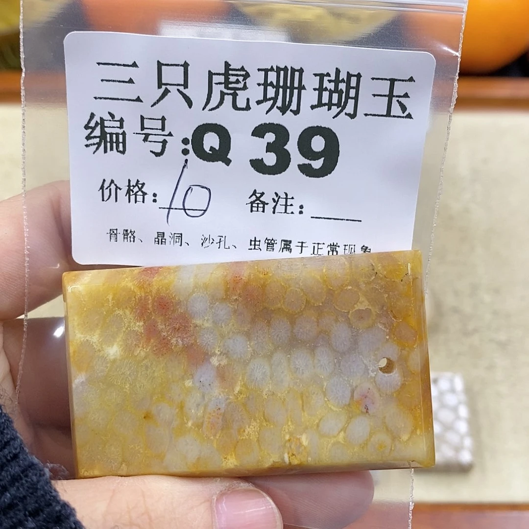 硅化珊瑚（珊瑚玉）1未镶嵌欣**喜