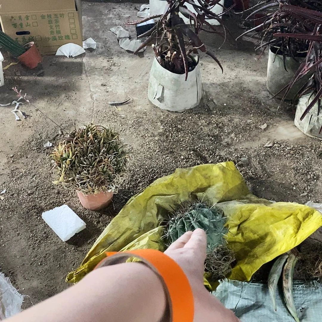9***媛雎鸠玉一个。