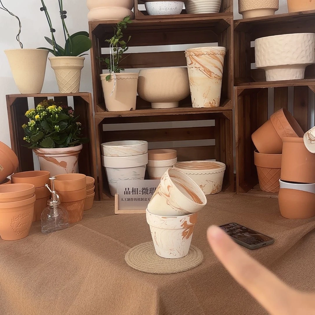 微瑕橘里橘气标准国际盆12口10高2个