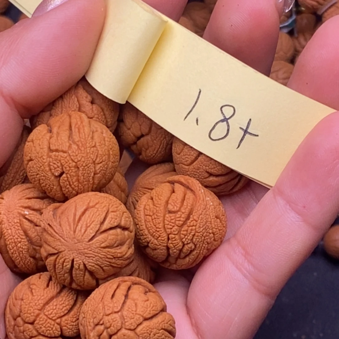 秦岭龙纹桃核14颗