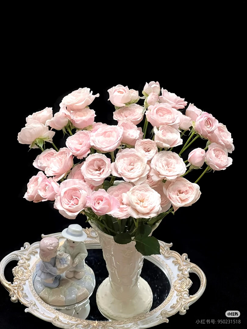 仙子之吻玫瑰10支大把头两单包邮一单或低温不拍保温冻坏不售后