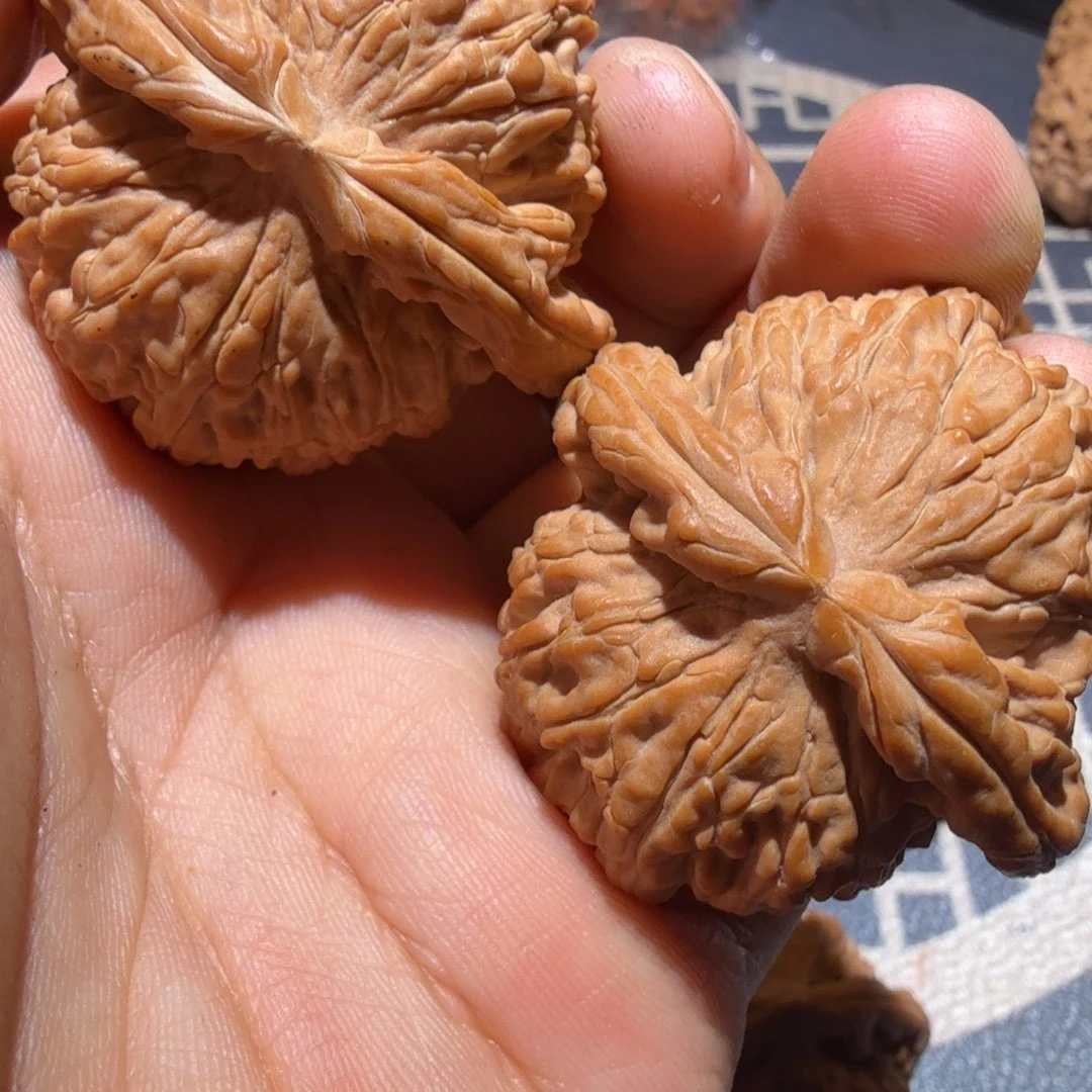 取***天把件猴头核桃白狮子