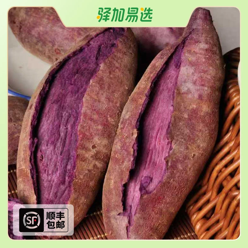 【山东沙地紫罗兰紫薯】软糯香甜紫心红薯农家现挖TXK