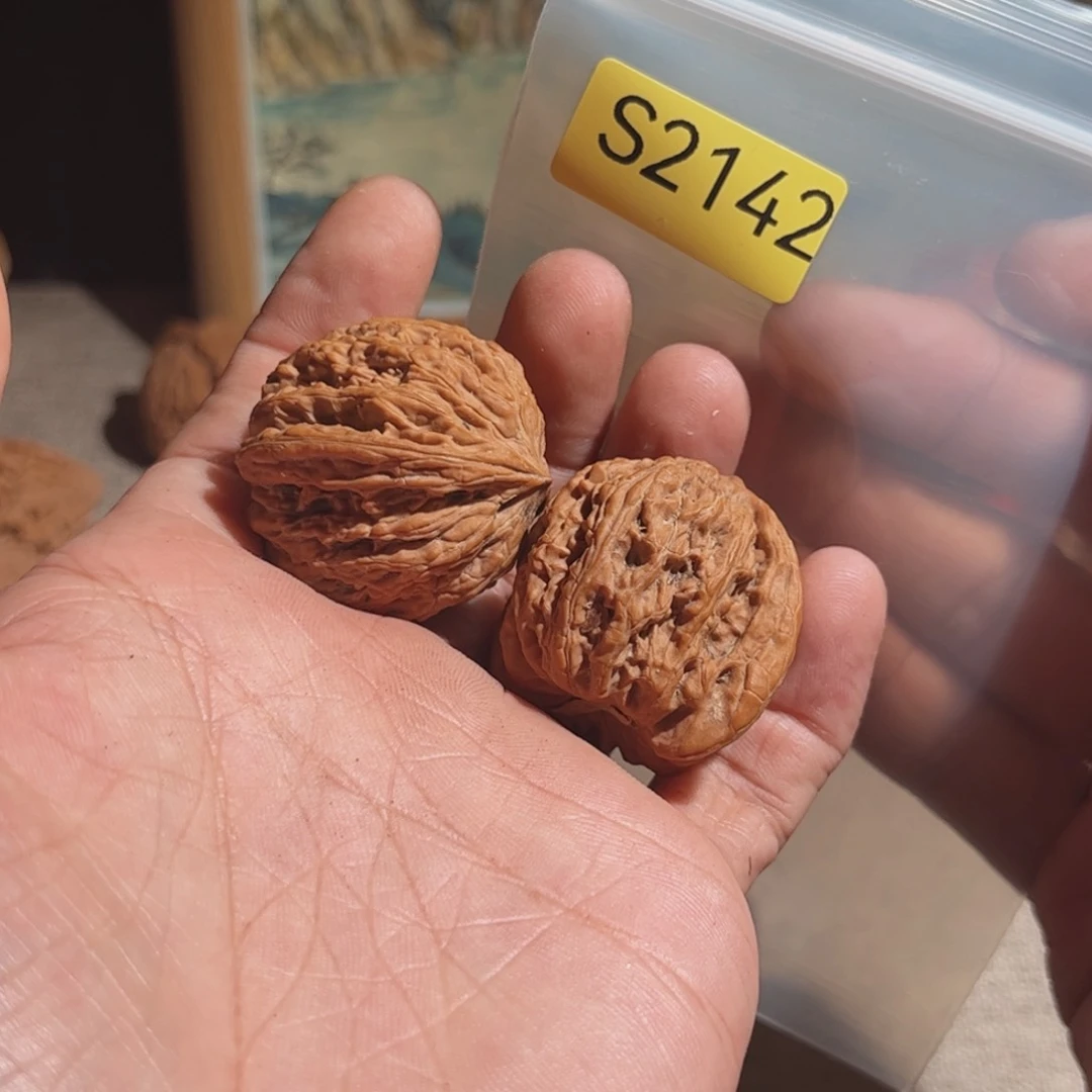 文玩核桃把件密闻