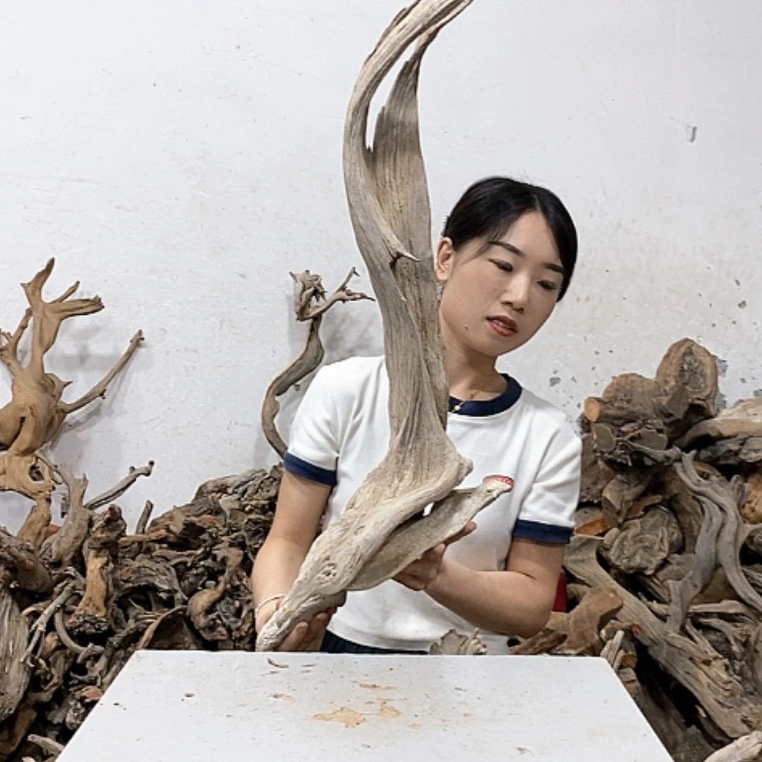 【闪购商品】柏木幽**琴我们都是好孩子呀