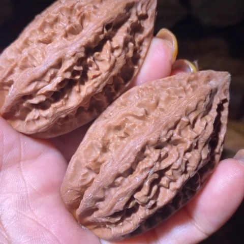 文玩核桃把件东北野生楸子小美25