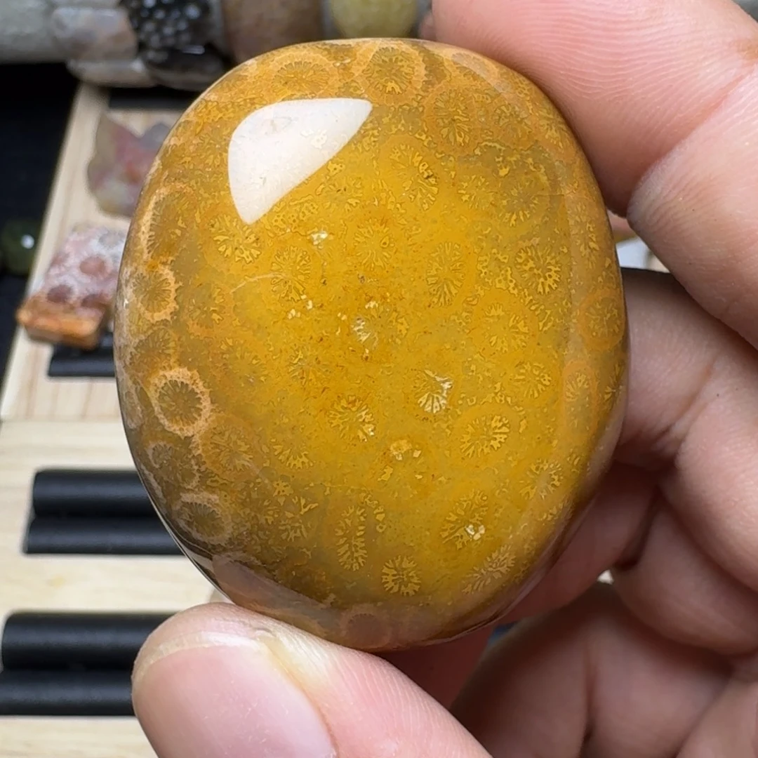 玉***虎硅化玉未镶嵌纯天然色有机玉石保真色特价