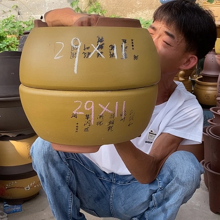 紫砂紫砂紫砂紫砂