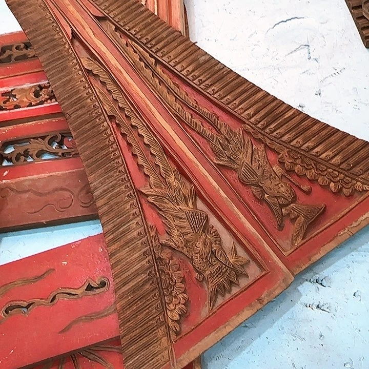 大果紫檀（缅甸花梨）移**真