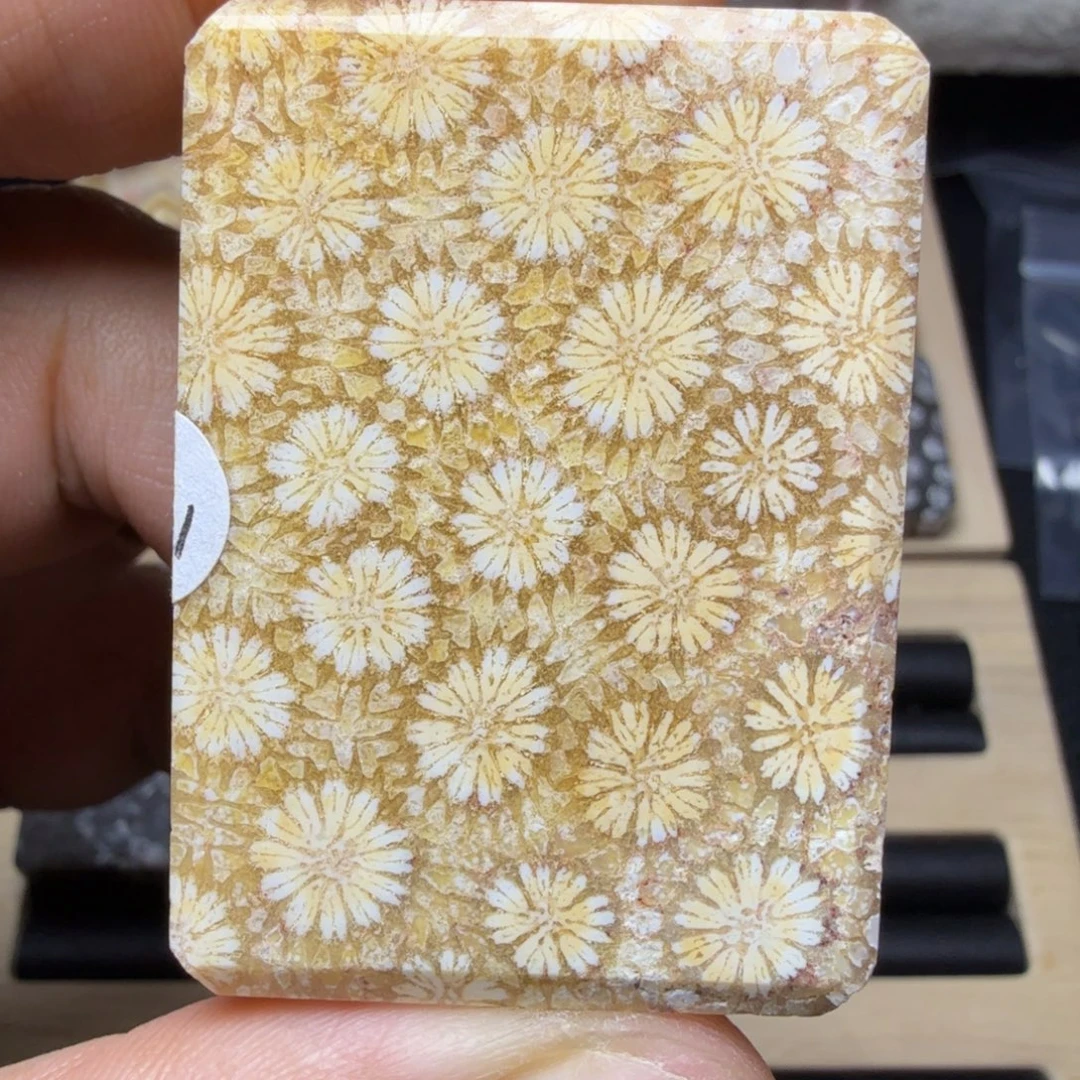 硅化玉未镶嵌天然有机玉石保真色