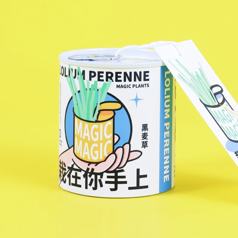 神奇植物向日葵种子猫草罐头植物桌面好养室内盆栽绿植创意礼物