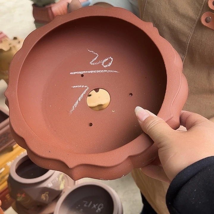 紫砂花盆不敢想自己