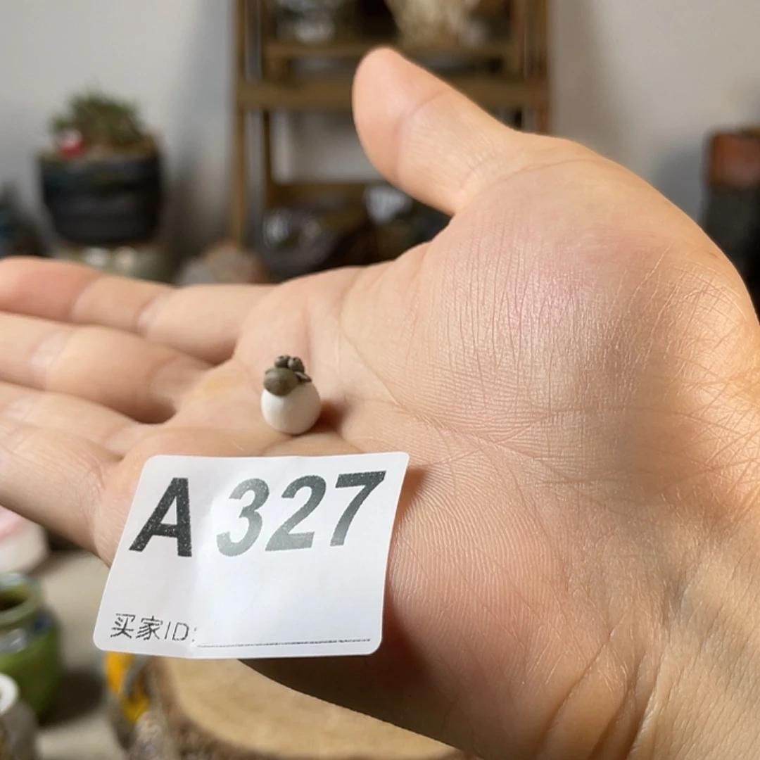 紫砂花盆昱*陶瓷花盆 压盆石 1个