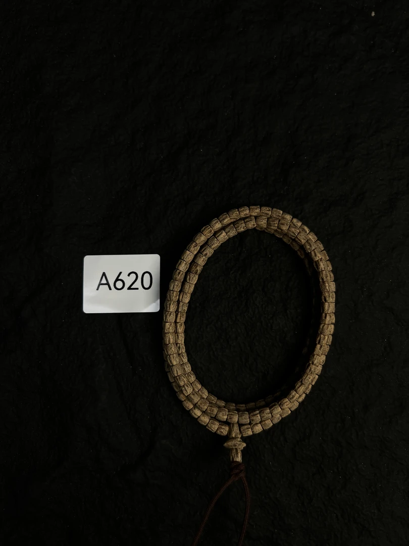 热振柏香籽 红皮脏脏超级顺 A620