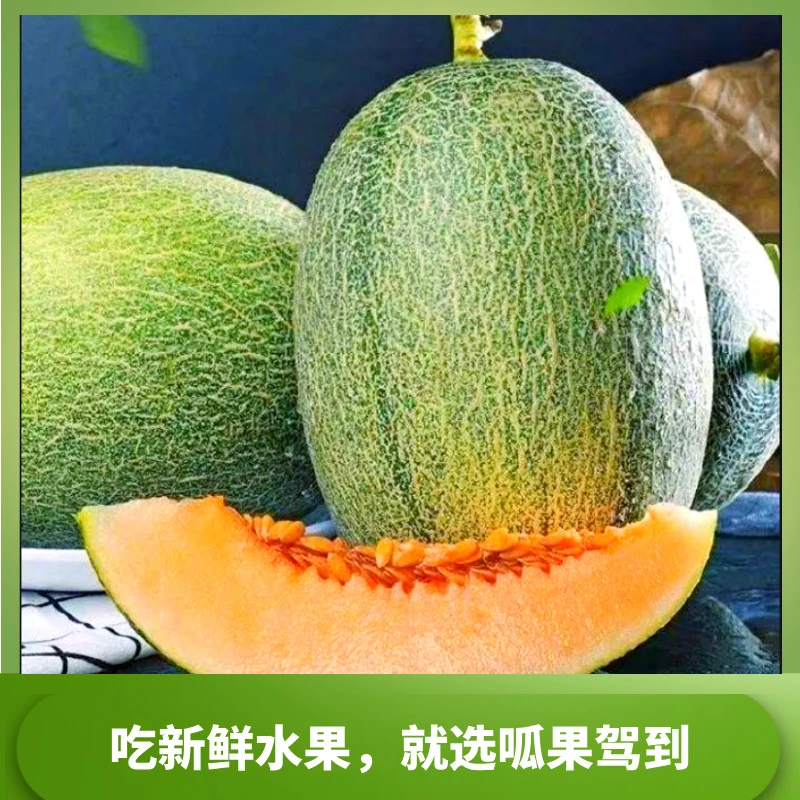 呱果驾到自营哈密瓜 皮薄肉厚水分足 脆甜新鲜 水果产地直播专属