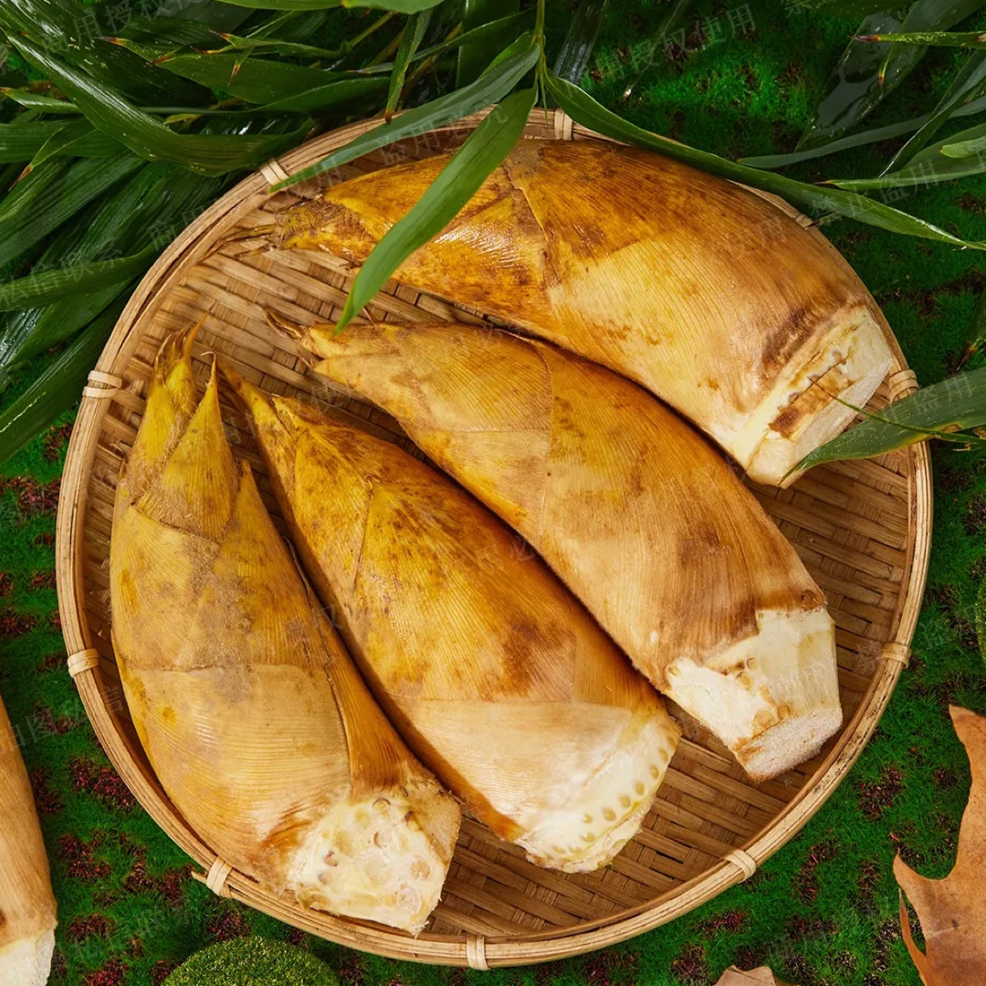 湖南本地新鲜冬笋现挖现发