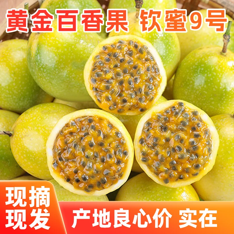 现摘新鲜广西钦蜜9号黄金百香果正宗钦蜜九号黄金果香甜多汁