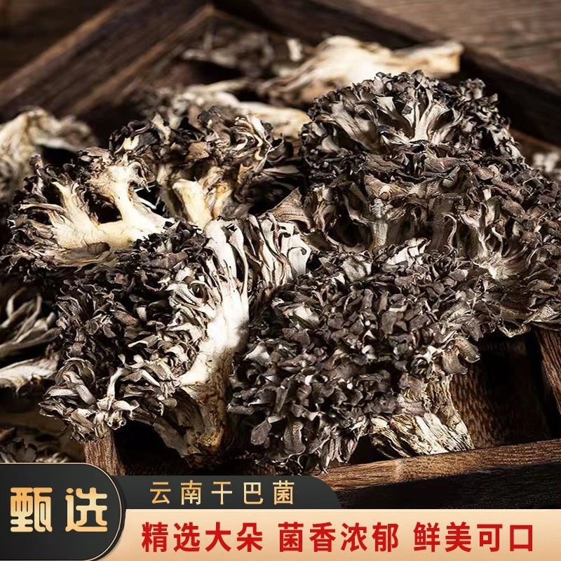 J云南特产种植干巴菌精美包装灰树花干无泥沙非特级舞茸菌栗香菇