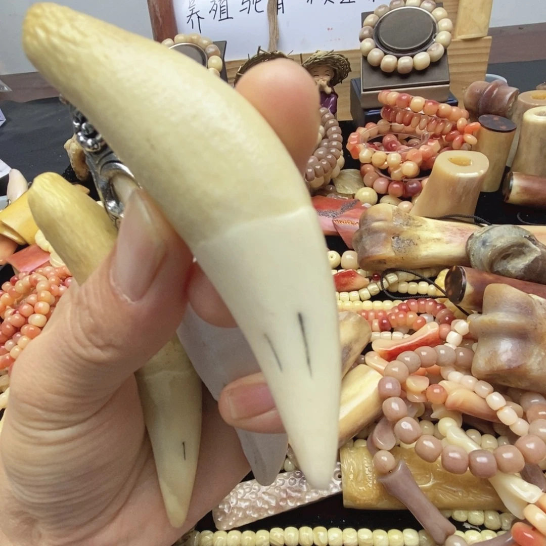 军***~驼骨手串/手链驼牙