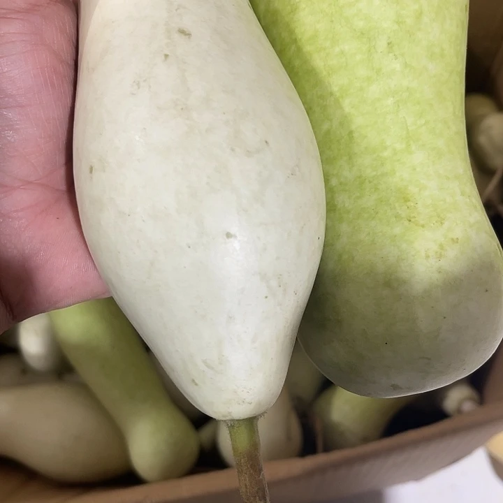 非洲紫檀（红花梨）逝****尘