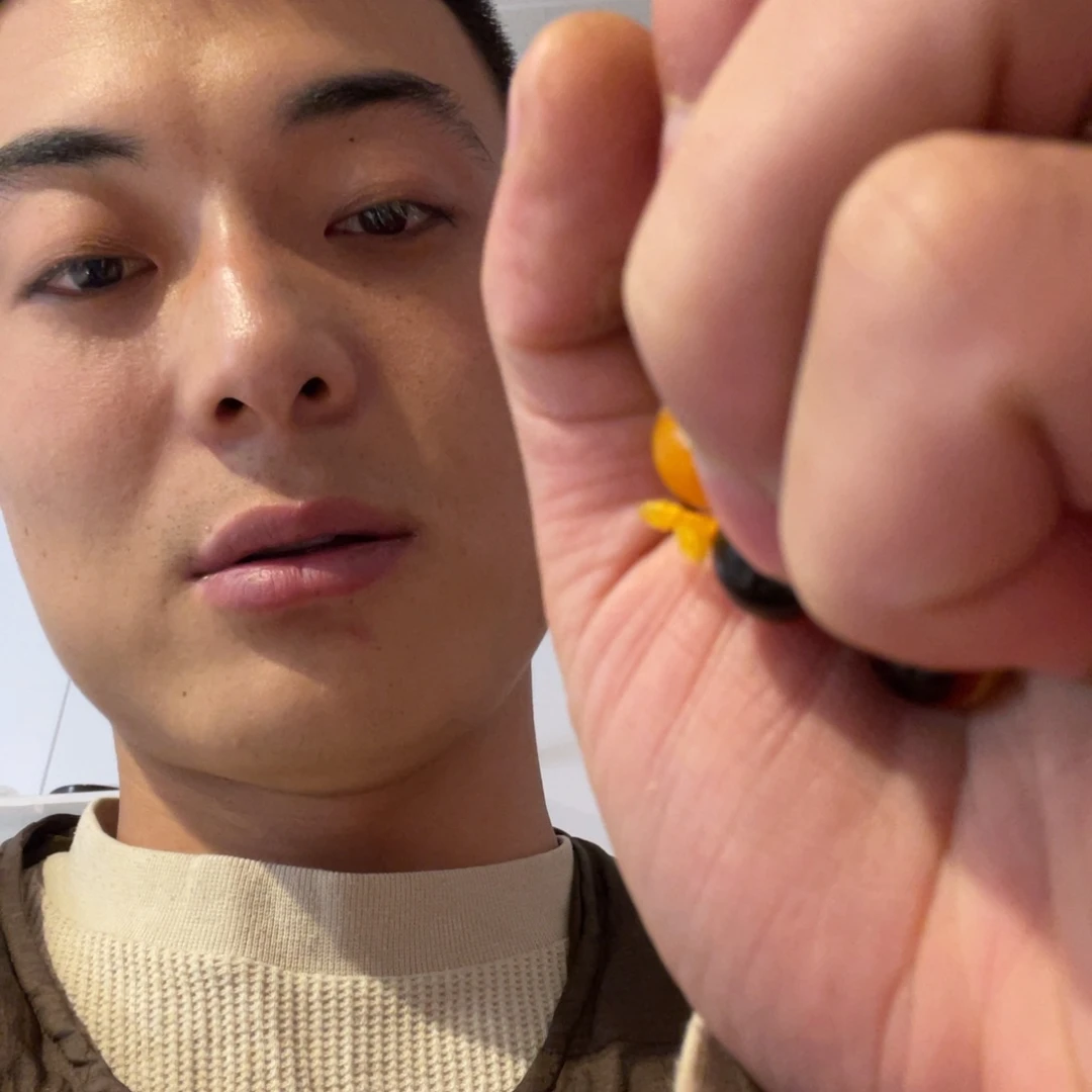 大果紫檀（缅甸花梨）258