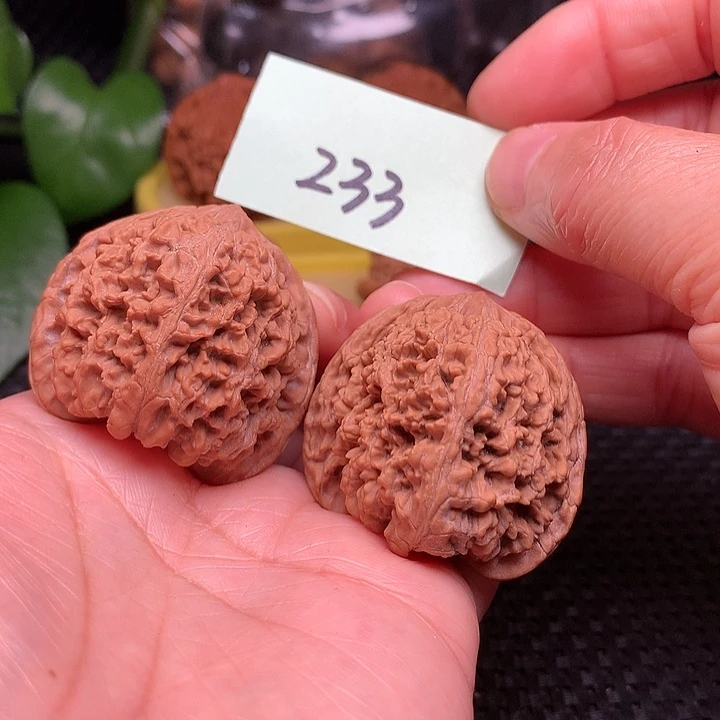 【闪购商品】把件文玩核桃50满天星233