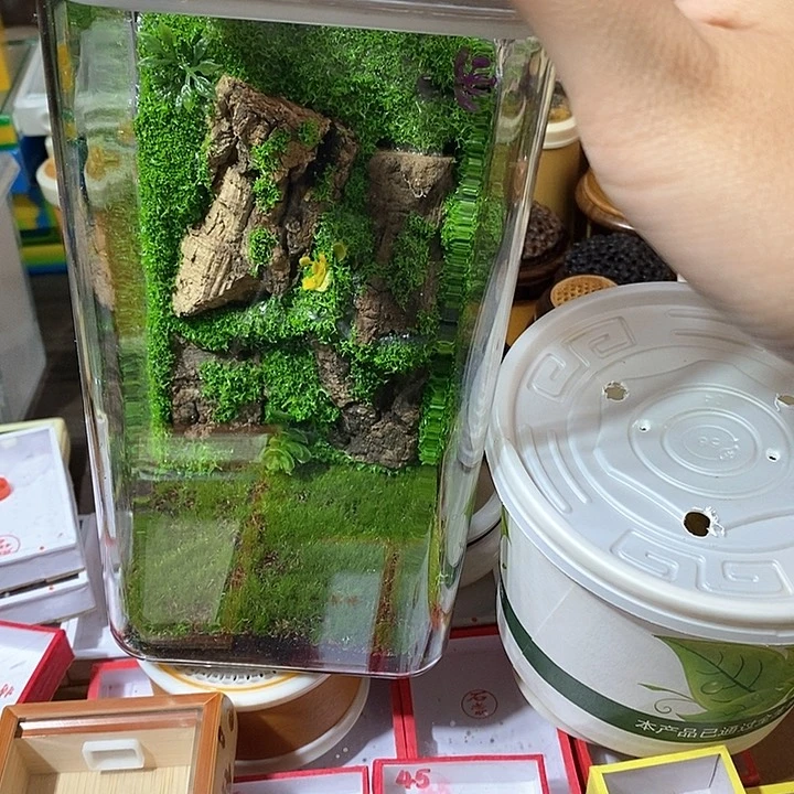 P****n素背加生态箱-z cv b b b n n m