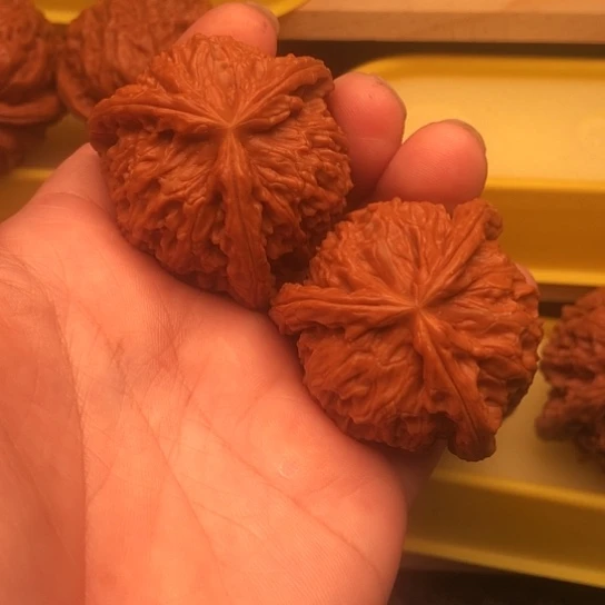 有***用核桃核桃核桃核桃