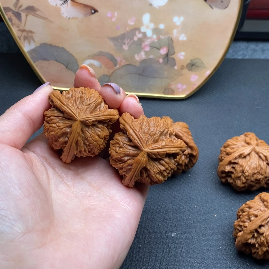 鞍****柏白狮子1111111111