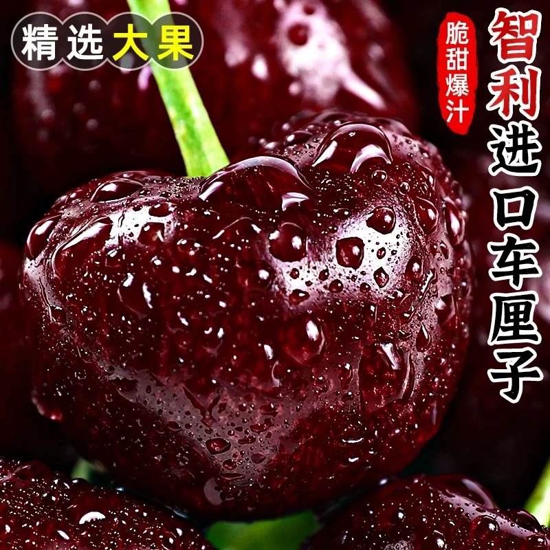 智利进口车厘子原箱包装5斤包邮大樱桃2J3J4J