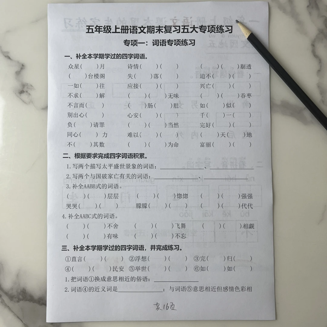 2025年新五年级语文上册--期末复习五大专项练习含答案19页