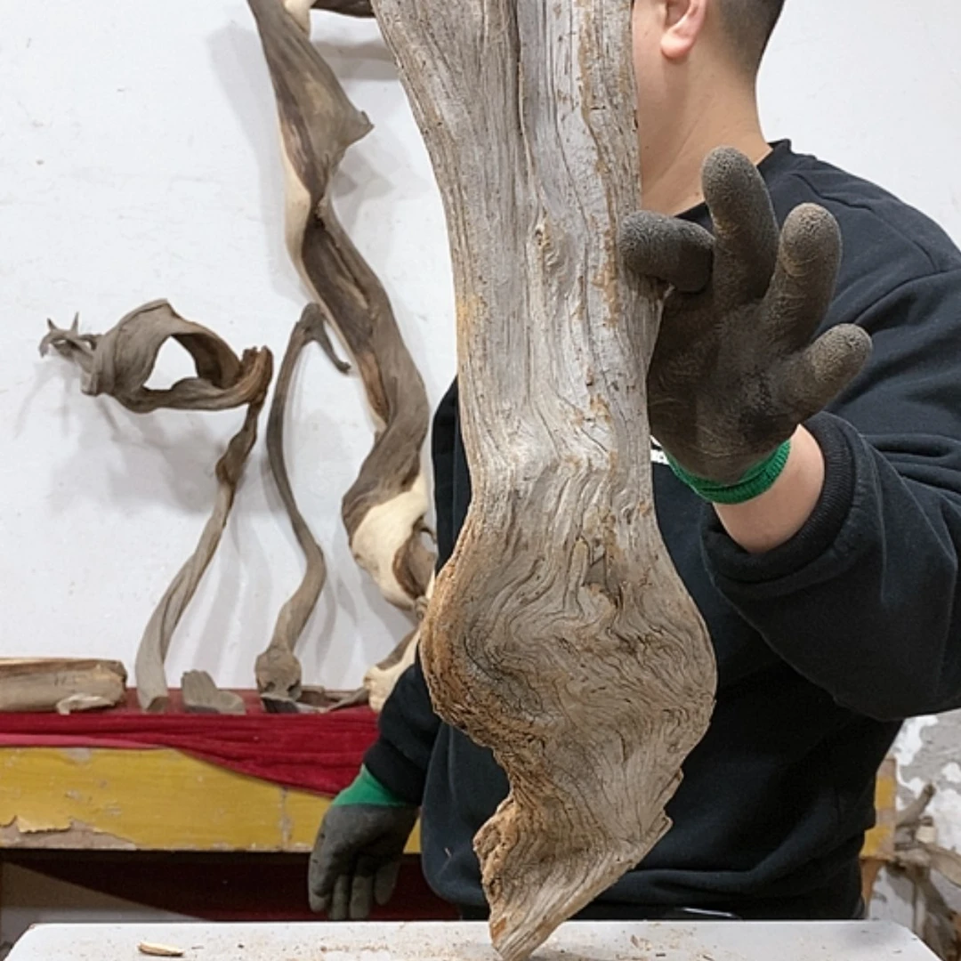 【闪购商品】柏木木****店我们都是好孩子