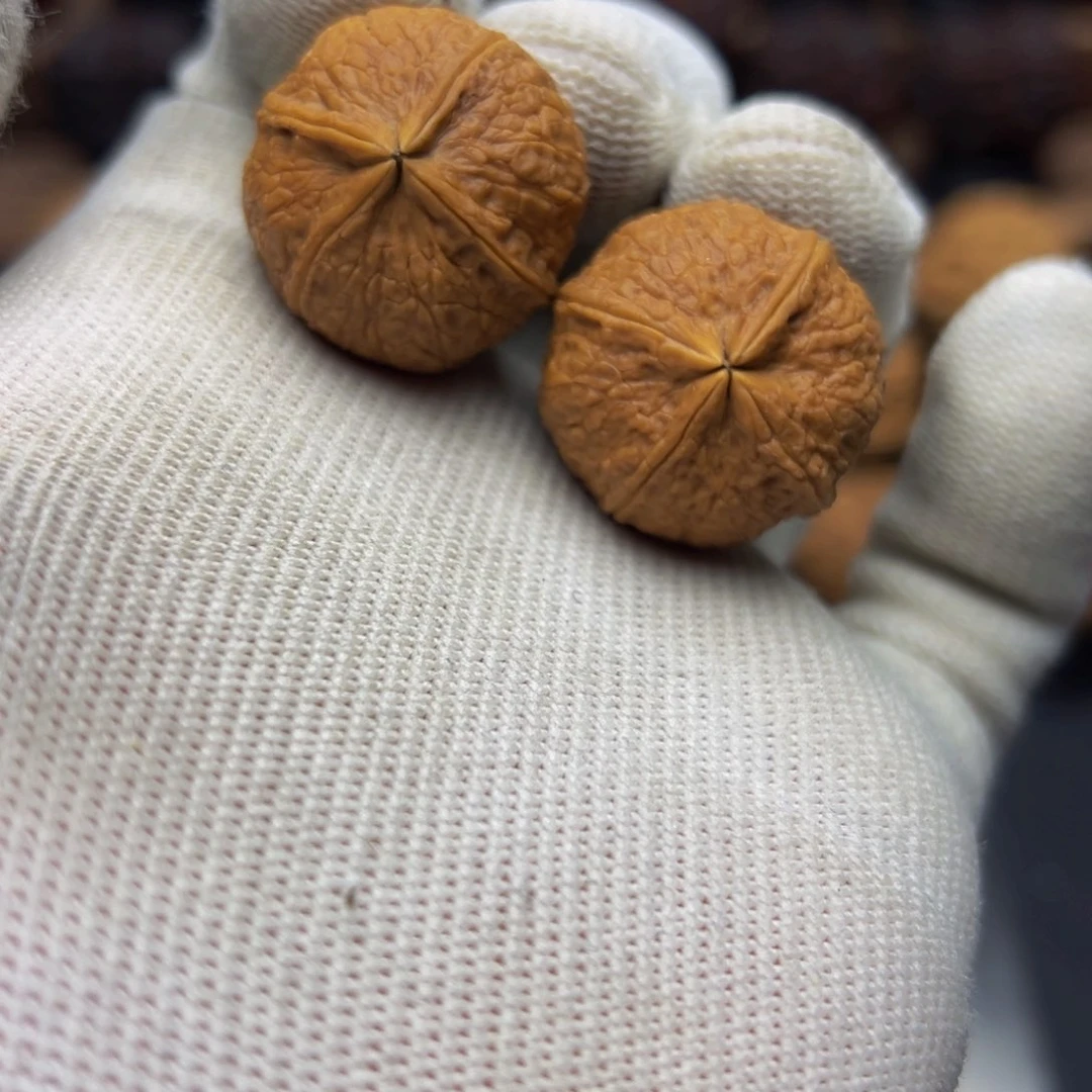 25尺寸骰子四棱小手捻