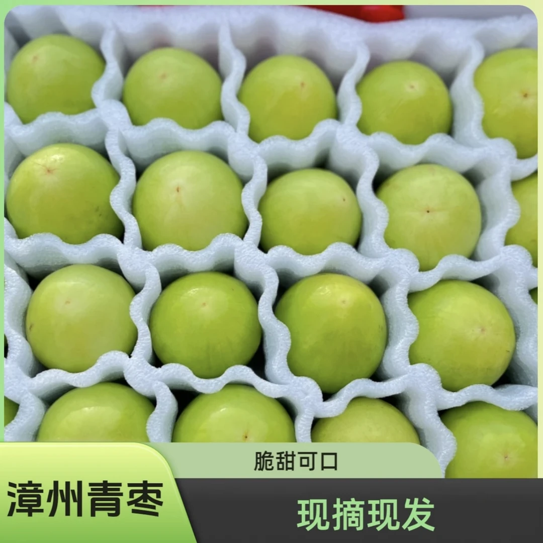 【贵妃牛奶枣】福建漳州 头茬果 3-5斤现摘现发 脆甜爽口