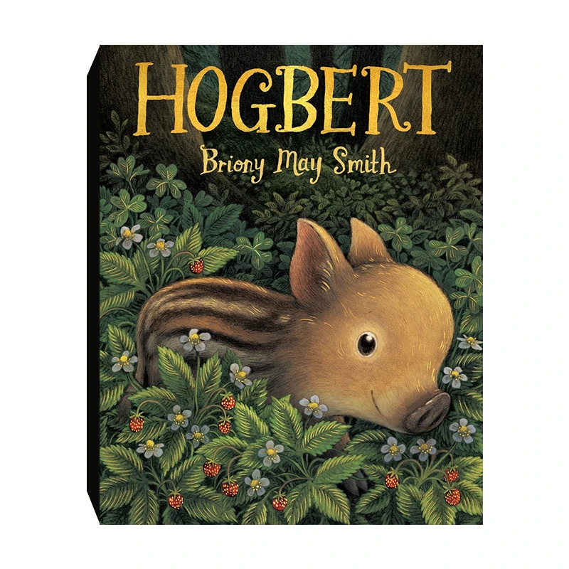 筑桥 Hogbert 霍格伯特 精装原版引进