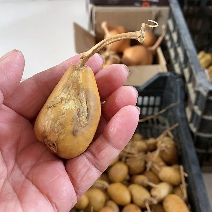 伊*d d f h k f c ch k h