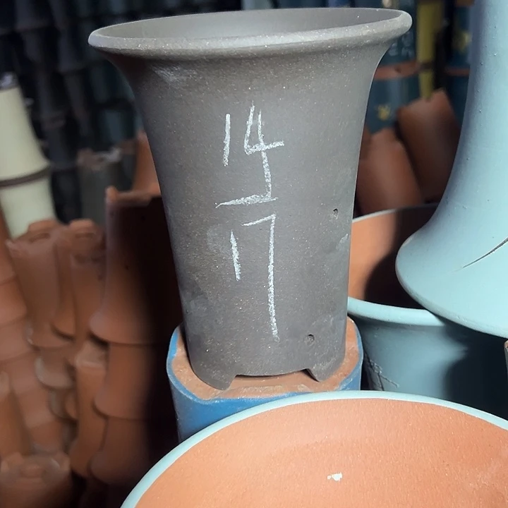 周深周深周深周深周深