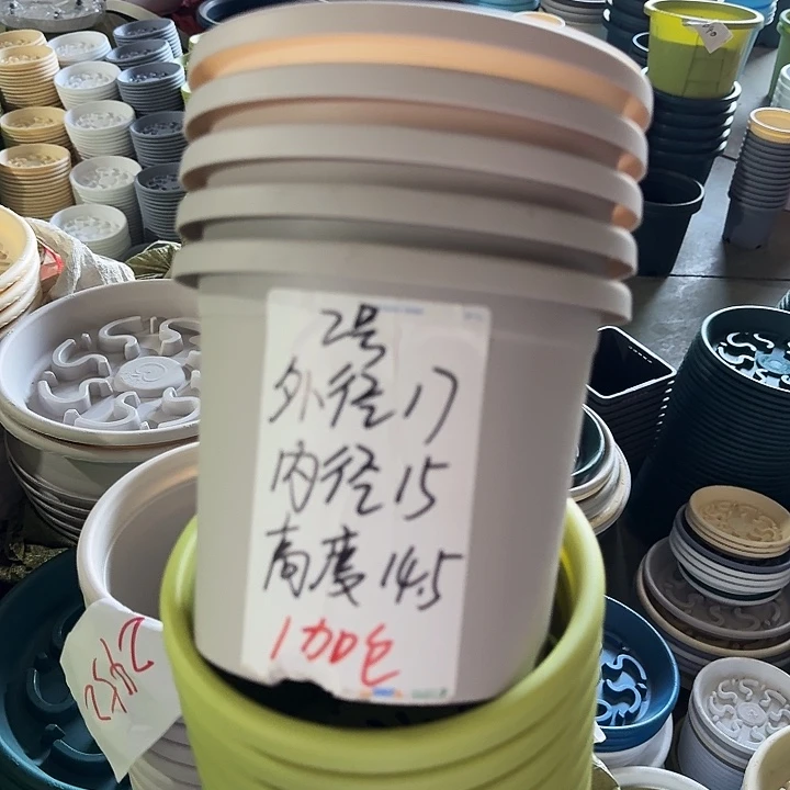 微瑕2#灰白12个无托