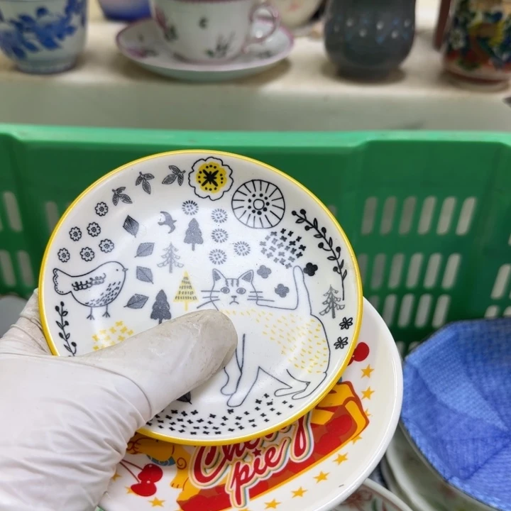 瓷片丽*开播啦…开播啦！