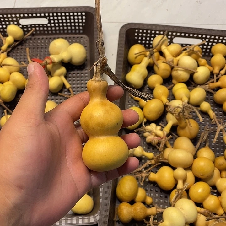 鄠***刘感谢大哥支持兄弟