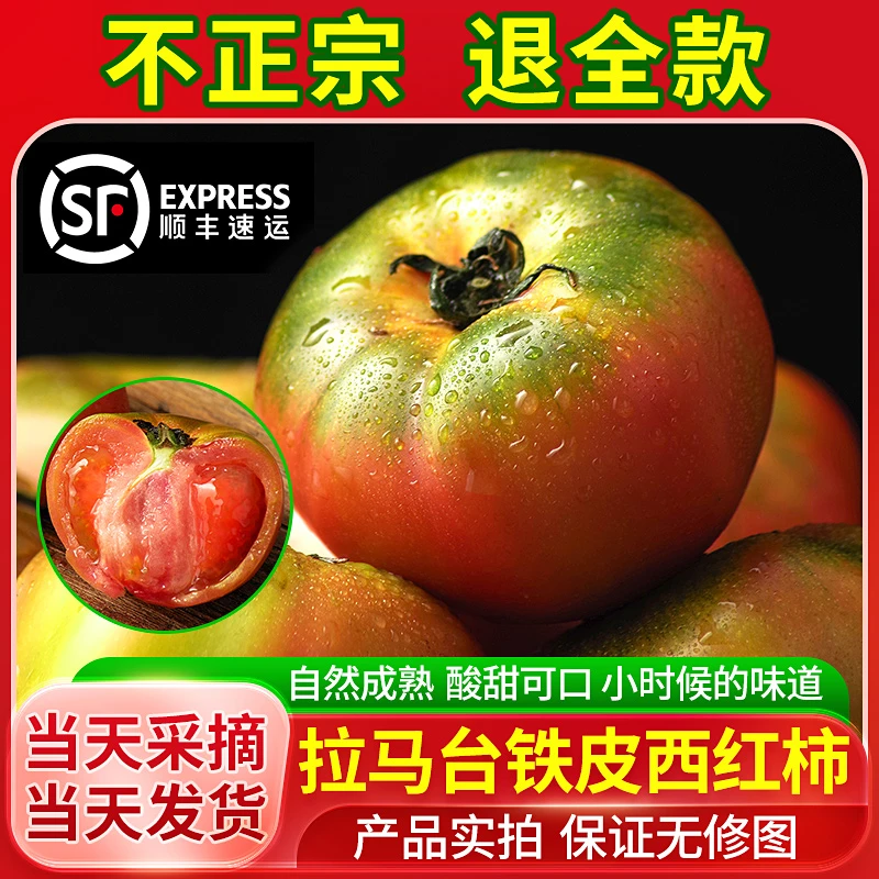 【顺丰】辽宁铁皮西红柿草莓柿子（绿色认证）正宗碱地铁皮柿子