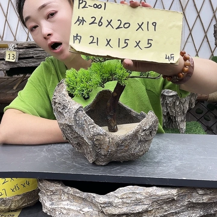 盆景盆异性花盆鱼缸p2-001