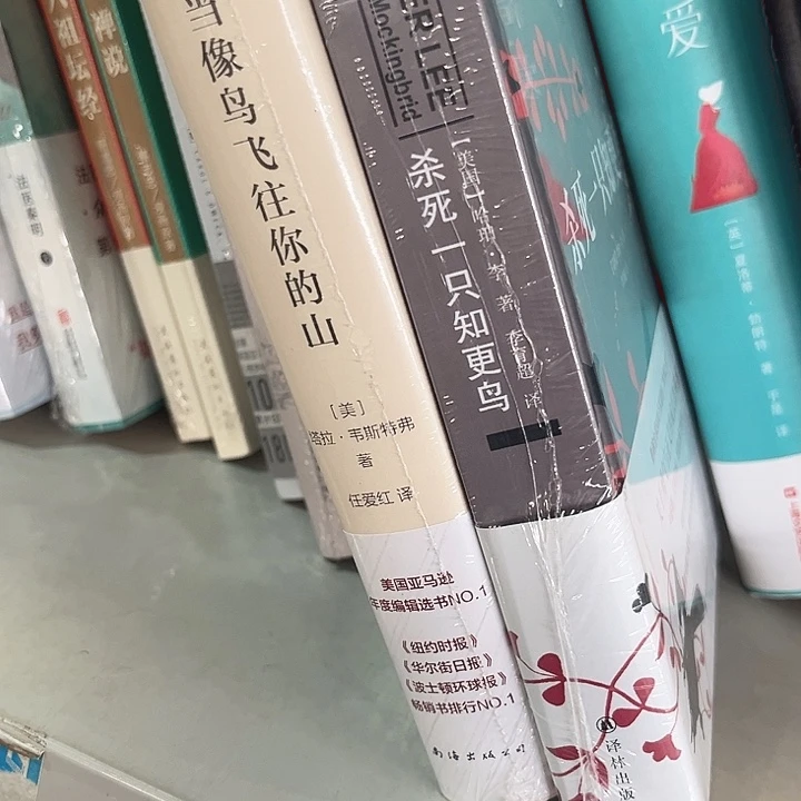 当鸟，知更鸟全新推荐