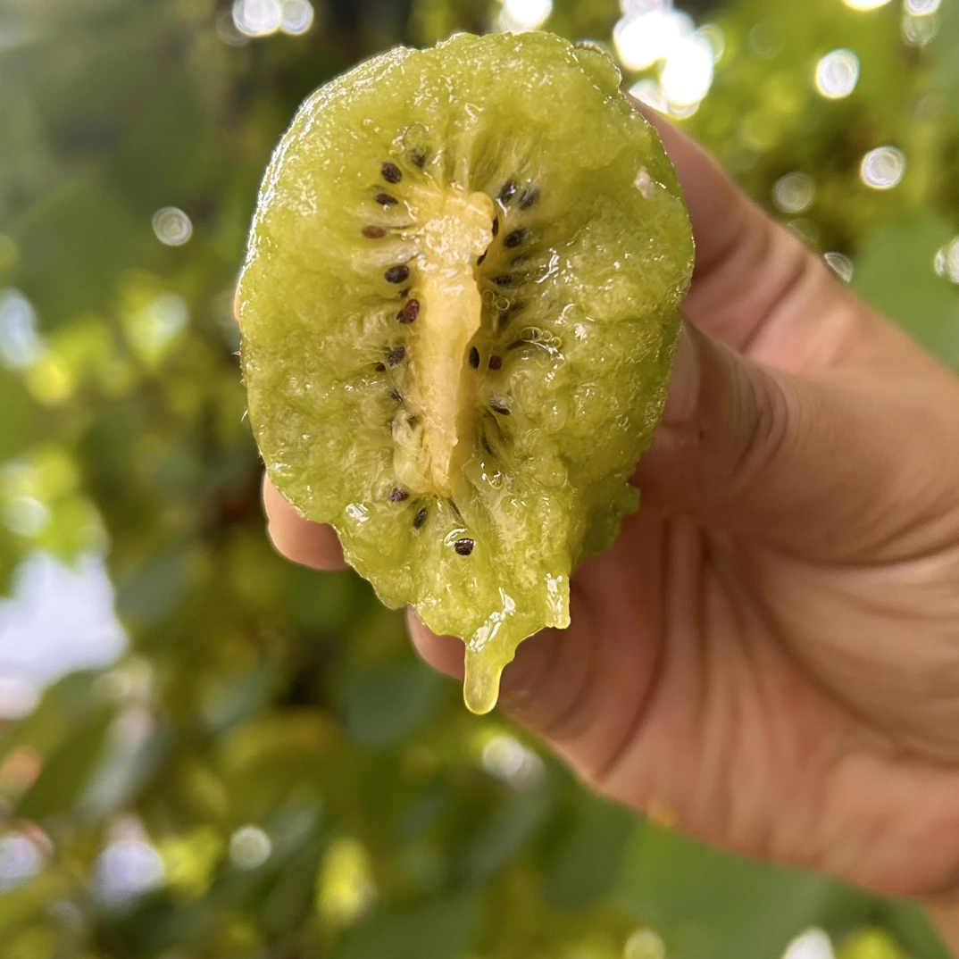 正宗陕西绿心徐香眉县猕猴桃当季新鲜水果香甜多汁