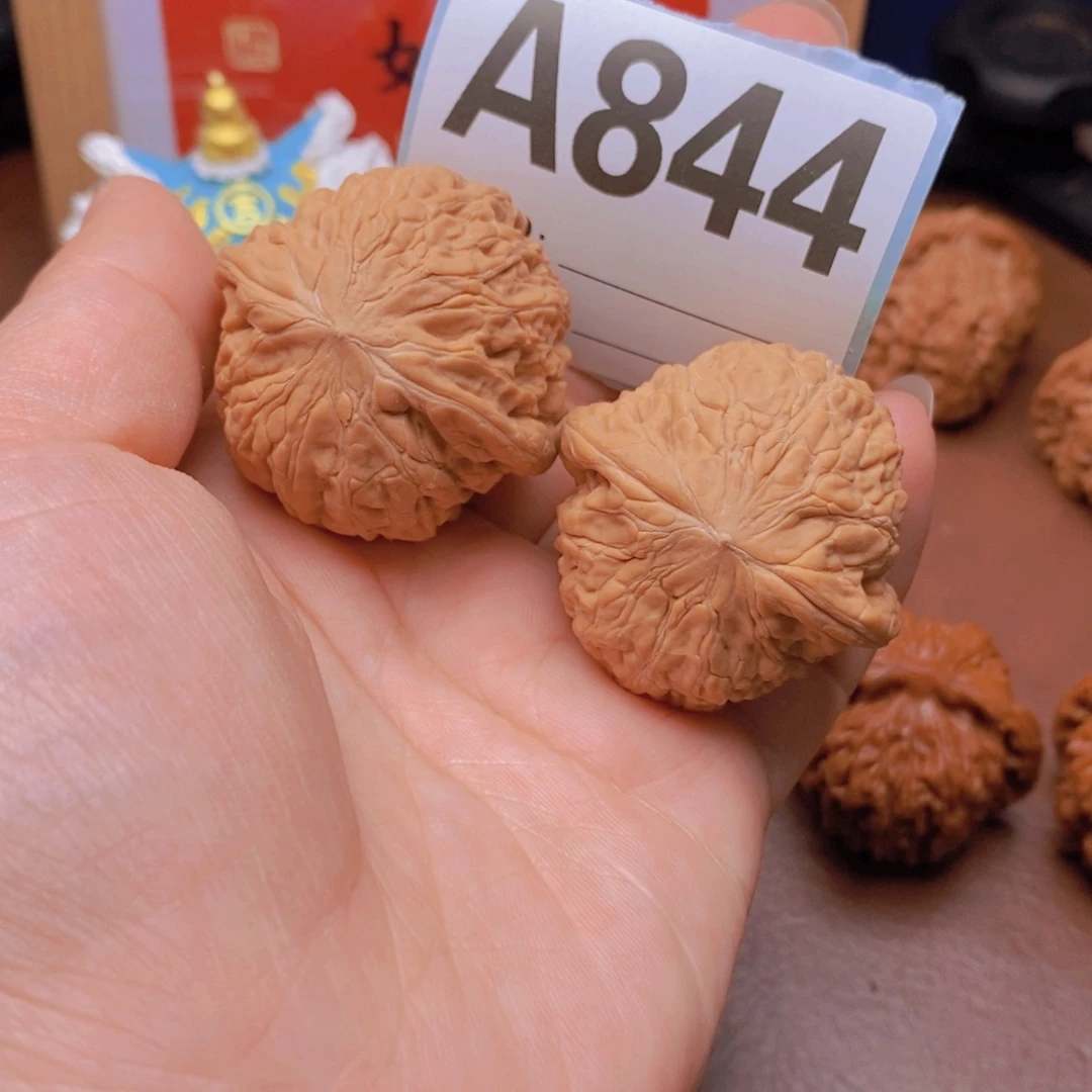 38尺全品铁锤老树A844