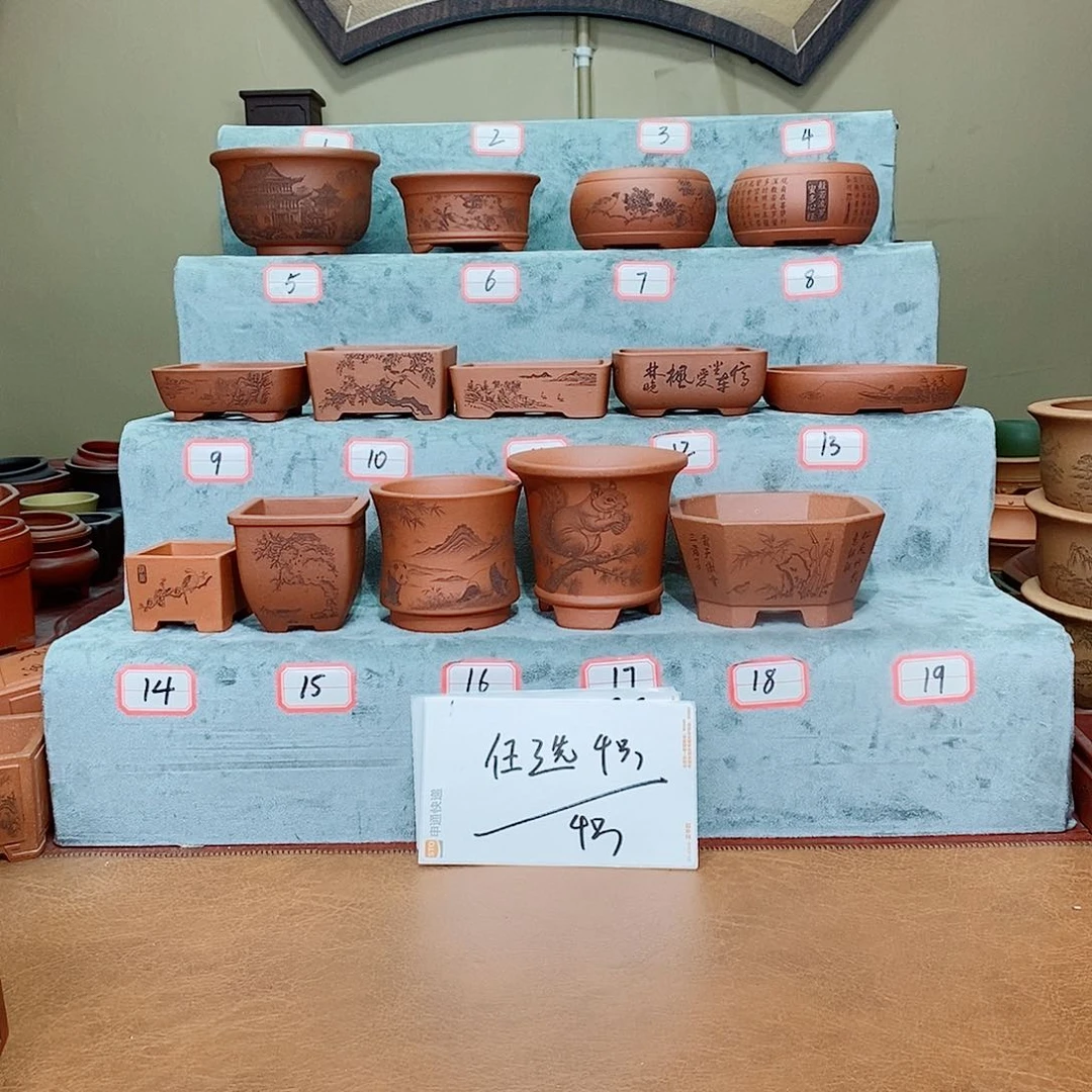 紫砂花盆我在看书啊亲爱得