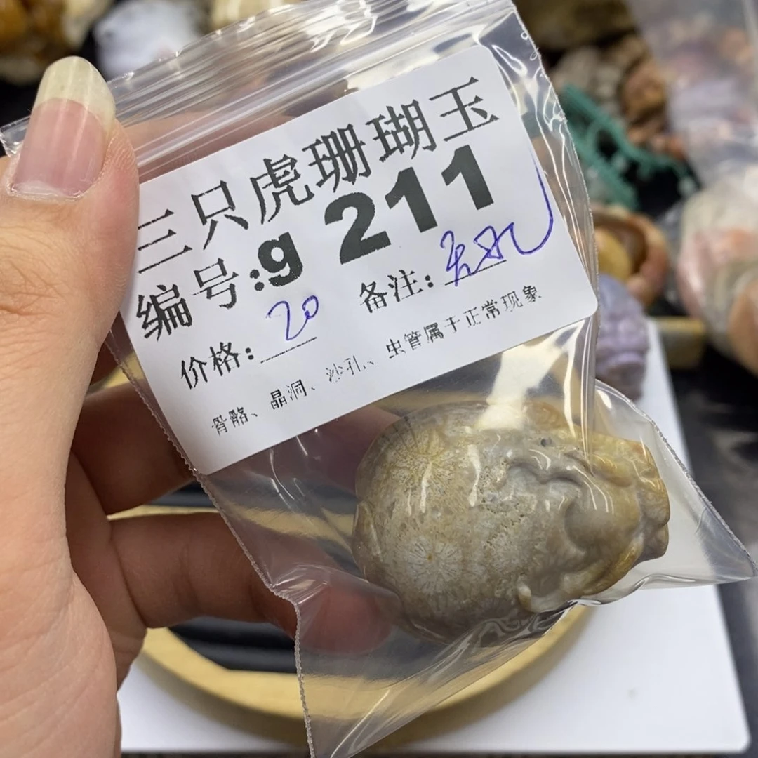 硅化珊瑚（珊瑚玉）未镶嵌1穿**年