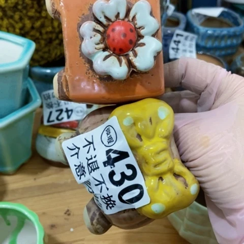 红陶陶瓷多肉花盆