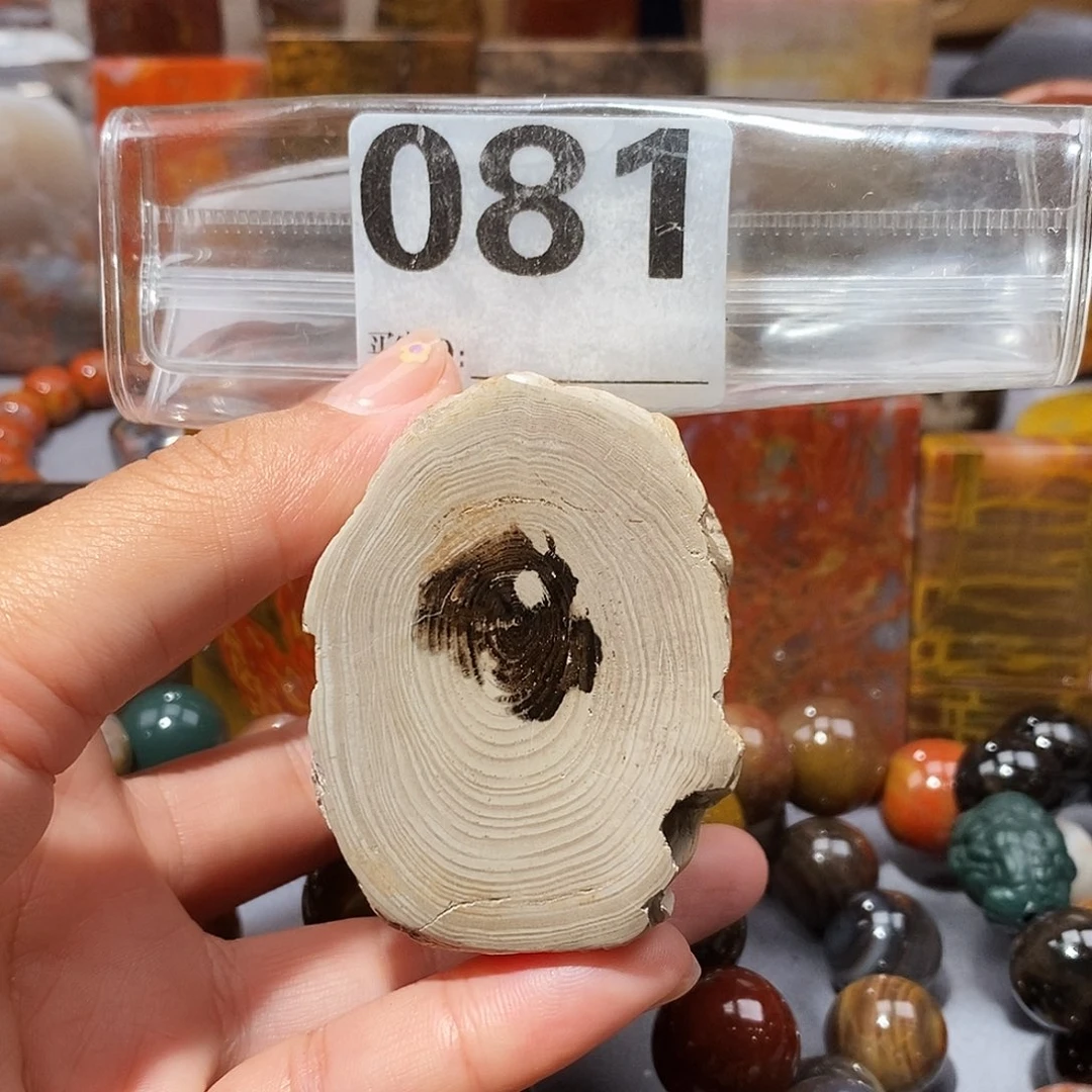 硅化玉天然北票硅化玉原石未镶嵌