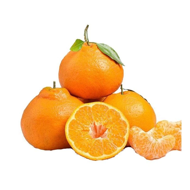 【四川不知火】粑粑柑（1500g±50g）/份